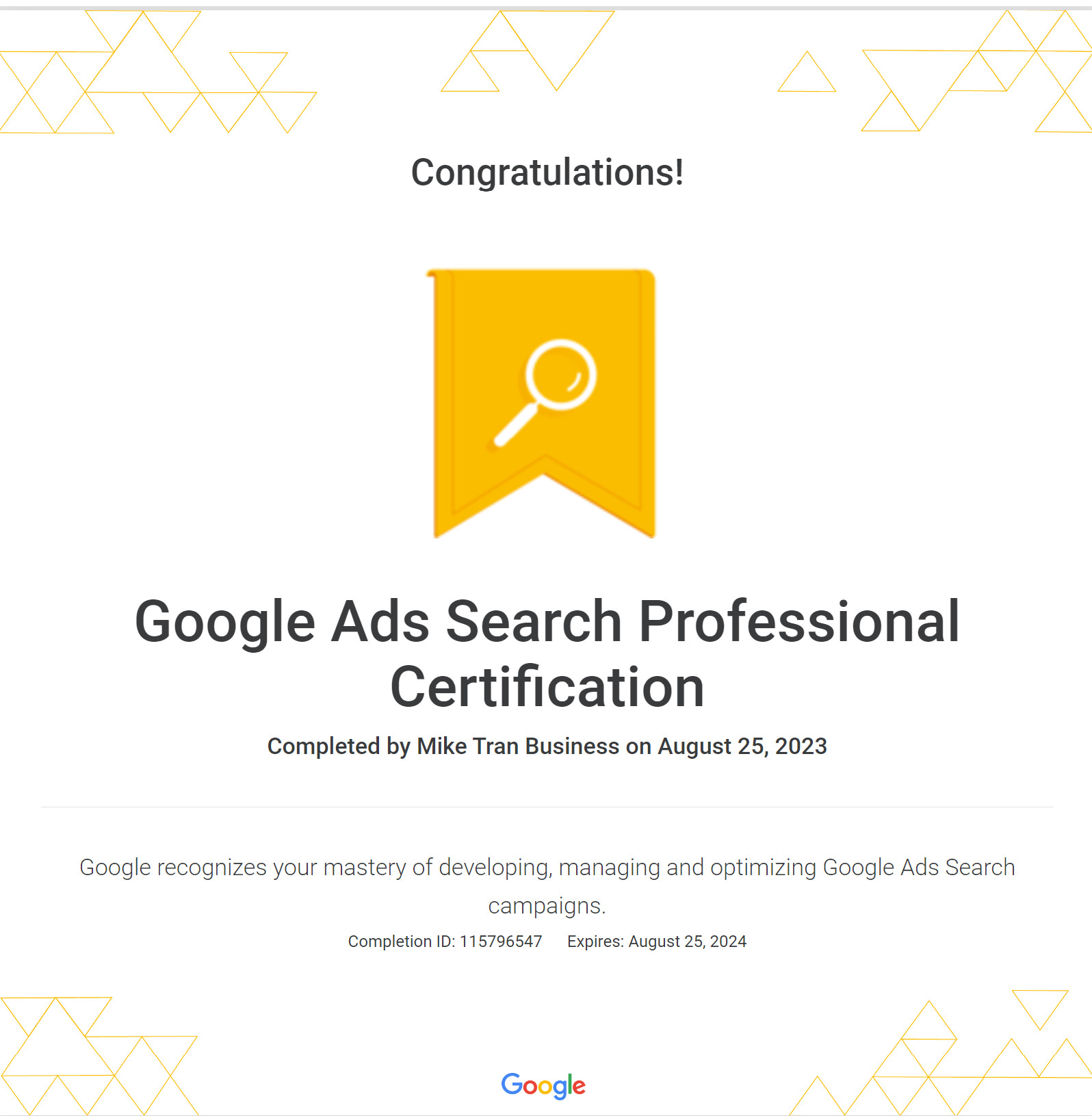 Google Search Professional